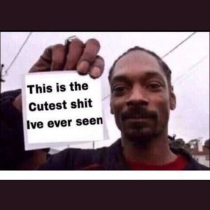 Meet your Posher, Aaron